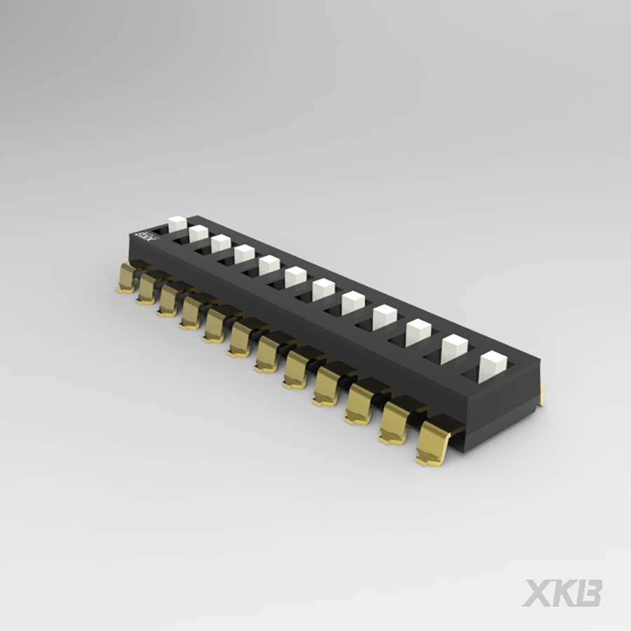 DSIC12LS-P-XKB Connectivity